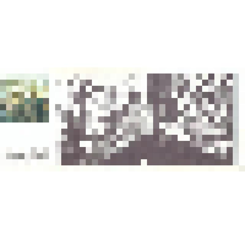 Комплект открыток по книге Л. И. Брежнева «Возрождение»