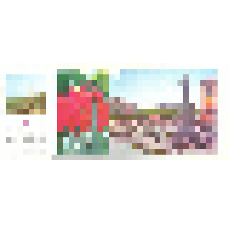 Комплект открыток по книге Л. И. Брежнева «Возрождение»