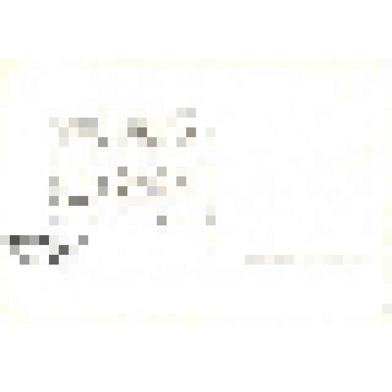 Фото-открытка. Клара Лучко