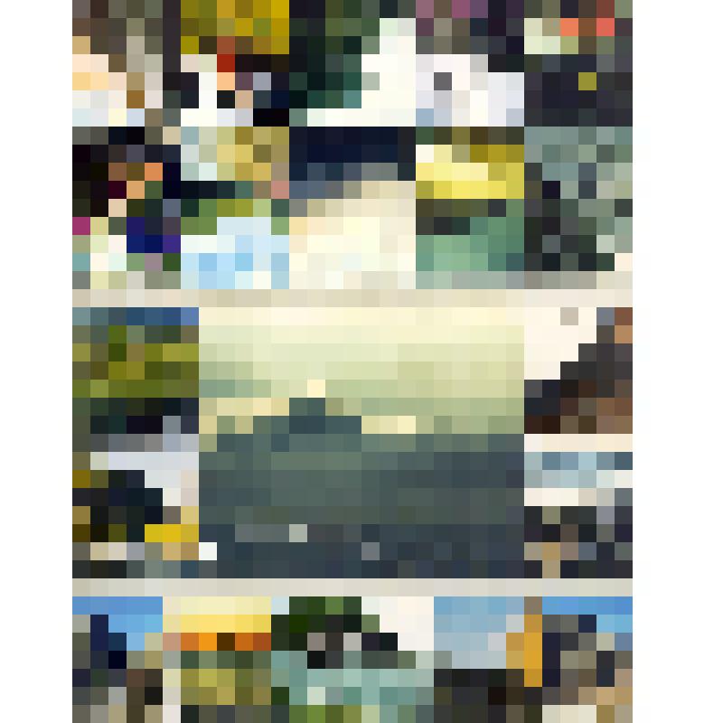 Комплект открыток «По тропам В.А.Арсеньева», в обложке 12 шт