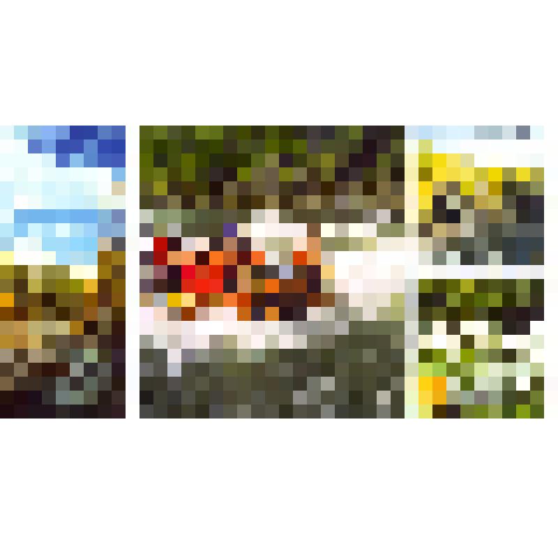 Комплект открыток «По тропам В.А.Арсеньева», в обложке 12 шт