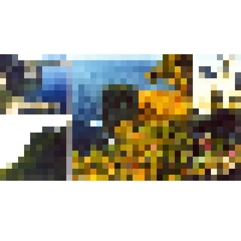 Комплект открыток «По тропам В.А.Арсеньева», в обложке 12 шт