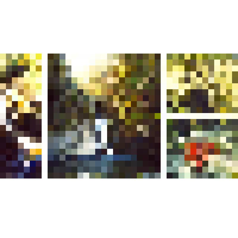 Комплект открыток «По тропам В.А.Арсеньева», в обложке 12 шт