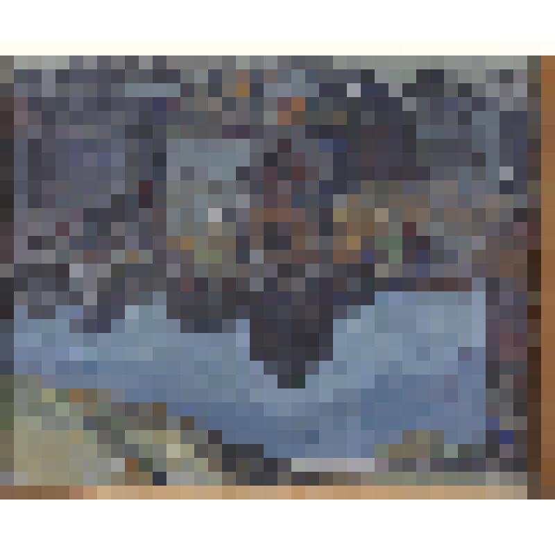 Ночная тишина. Картина