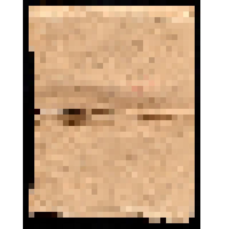 Автобиография В.Шунякова, где освещены события 1905-1917 гг. 1921 г