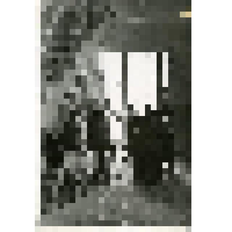 Новая школа в 58 квартале района Фили-Мазилово. Члены комиссии проверяют качество окраски оконных рам. Фотография