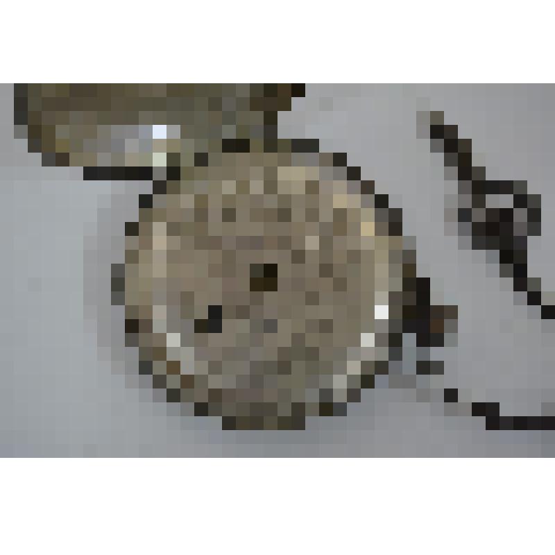 Карманные часы "Perret & Fils Brenets"