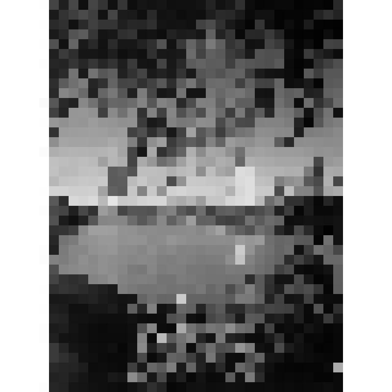 Серия фотографий с авторской фотовыставки "Мой взгляд". Фото цв. Городской пруд