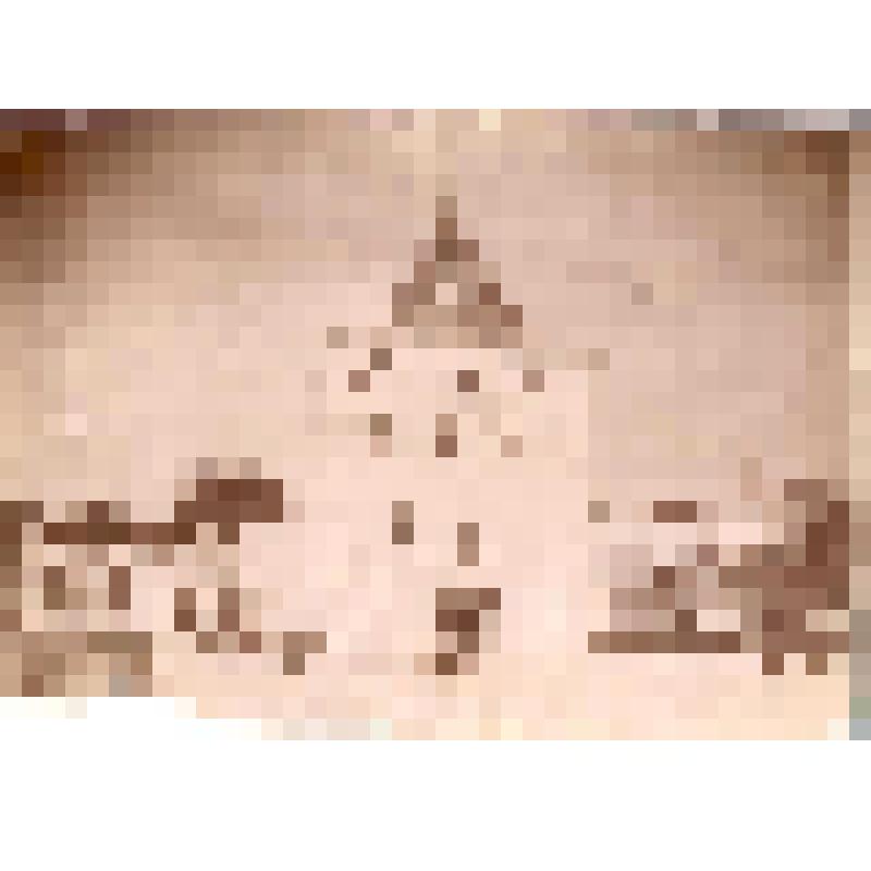 Фотография. Н.Новгород. Дмитровская башня Кремля. Вид с Благовещенской площади
