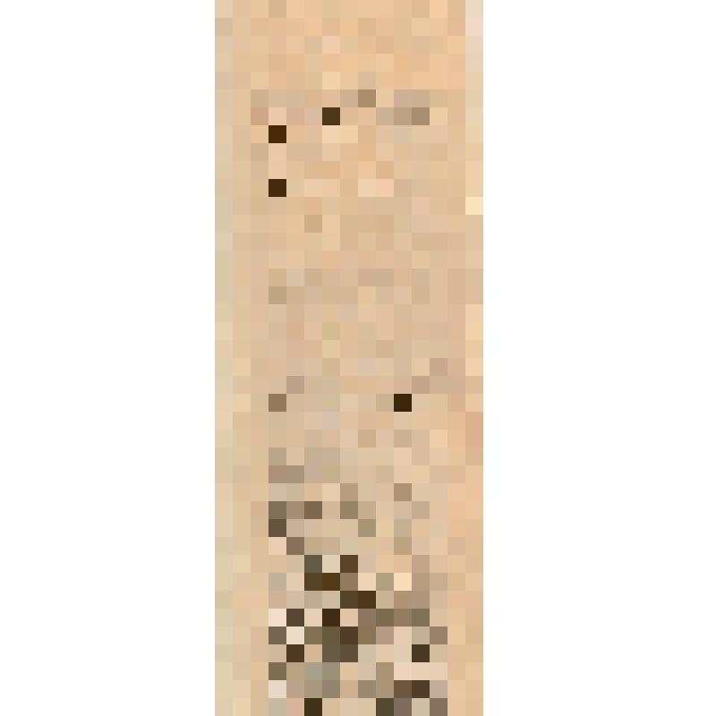 Российская социал-демократическая рабочая партия. Военная организация  Московского комитета. Товарищи!