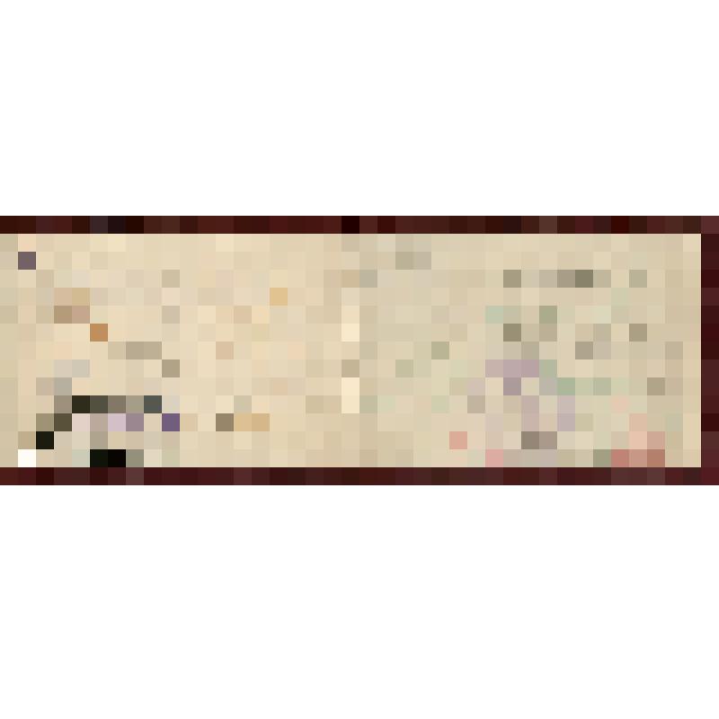 Членский билет N27 т. Прыткова И.Д., члена Симбирского губисполкома