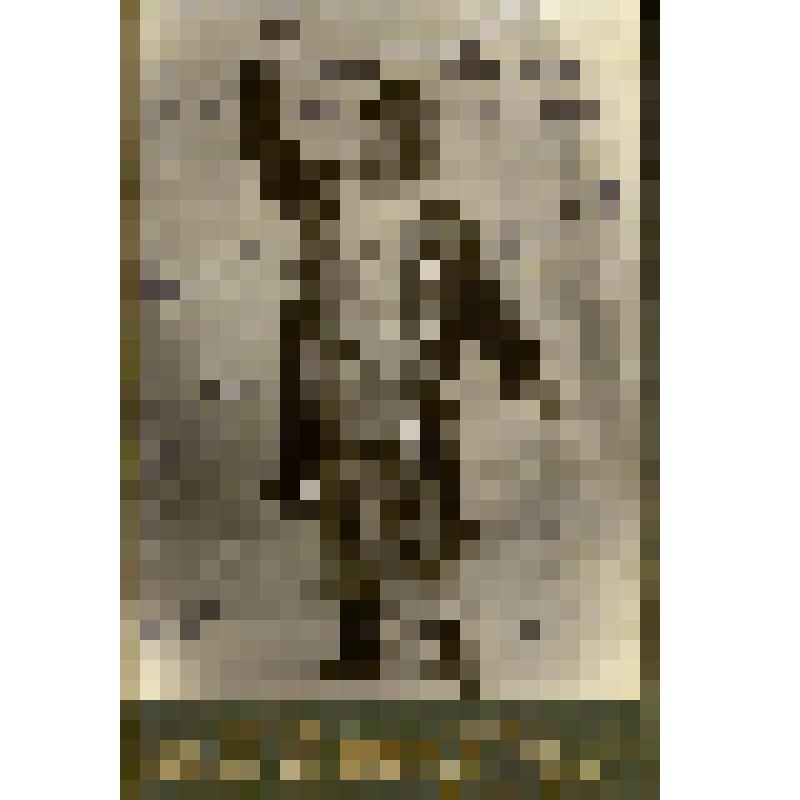 Фотография. Карлашев Н. в роли Галицкого. "Князь Игорь". Тифлис