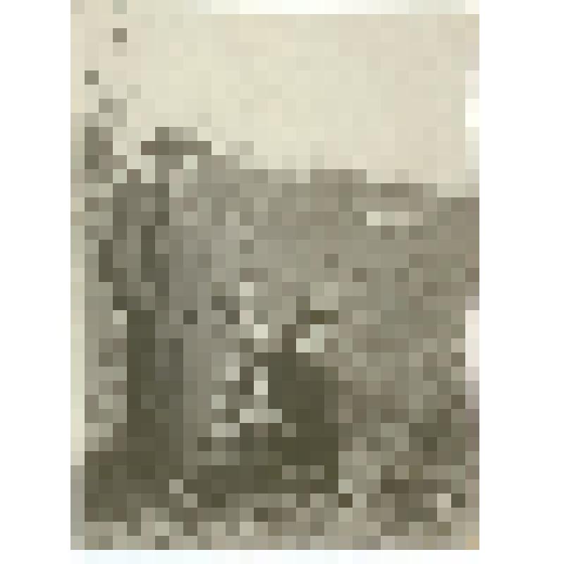 Фотография. Беркут Ольга Дмитриевна, научный сотрудник Саратовской опытной плодово-виноградной станции, с коллегой, у саженца