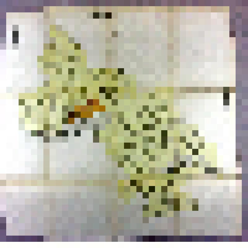 Карта гидрогеологическая. Пугачевский район