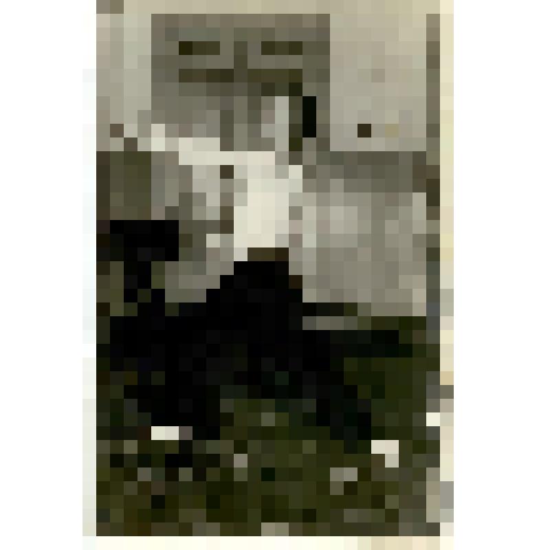 Фотография. Гуляев Владимир Николаевич - преподаватель гимнастики детской спортивной школы  городского отдела народного образования. Отработка соскока с колец