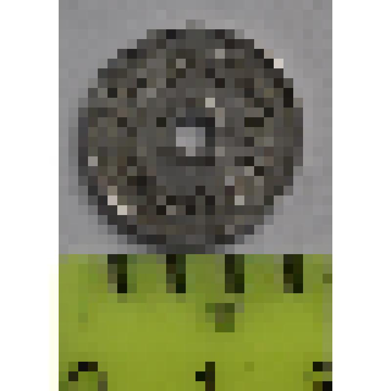 Монета 2 мунгу  (Монголия)