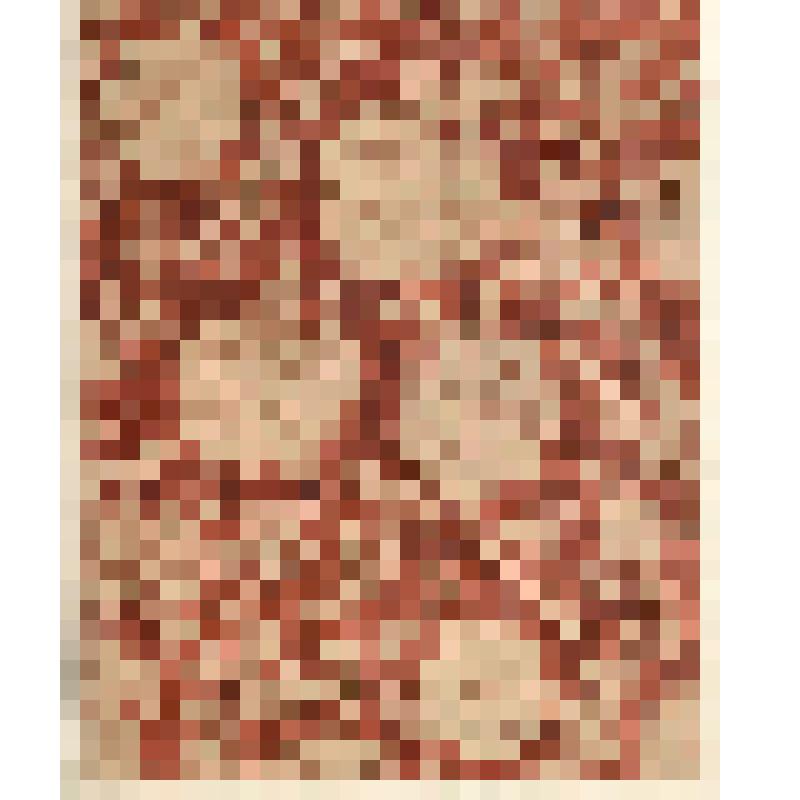 Зарисовка образца набойки. Из альбома зарисовок «Русская набойка XVIII -XIX века»