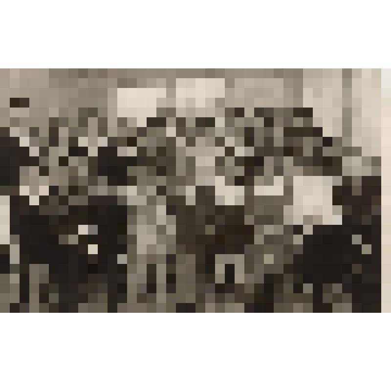 Фотография. Встреча ветеранов Великой Отечественной войны 9 мая в столовой водников