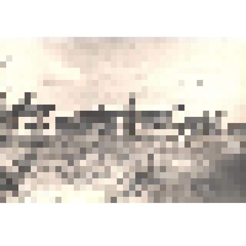 Фотография "Деревня Гам-Яг. Центральная усадьба."