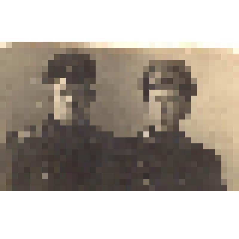 Фото. Ефрем Михайлович Новосельцев (справа), житель Торжка, с товарищем