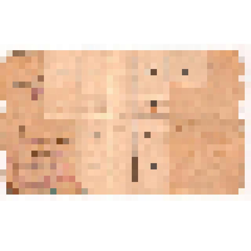 Талонная книжка члена № 4231 Борноволокова Николая Ивановича на получение недостаточных товаров на 1928 г