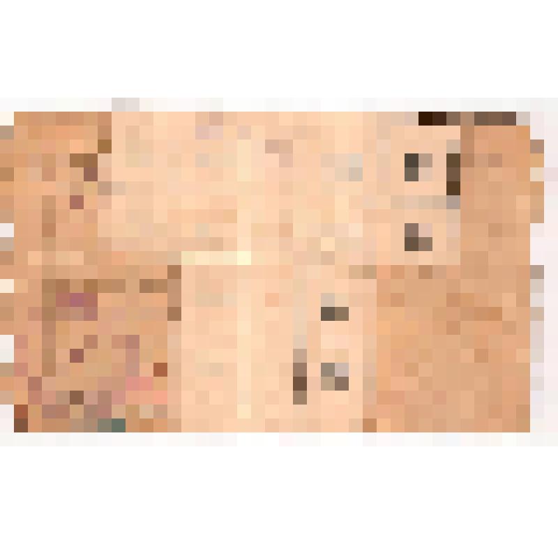 Талонная книжка члена № 4231 Борноволокова Николая Ивановича на получение недостаточных товаров на 1928 г