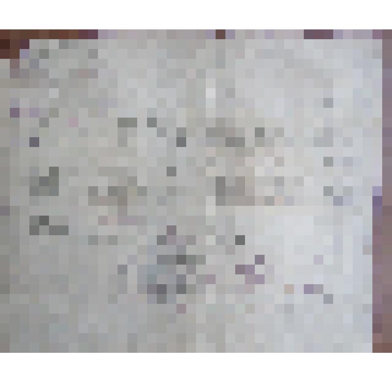 Мандат Агафонова В.С