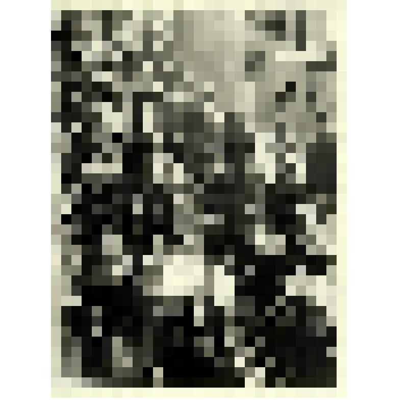 Фотография. Ставропольское кожевенно-обувное объединение «Кавказ». Готовые мужские ботинки сходят с конвейера. Автор Махонский П.И