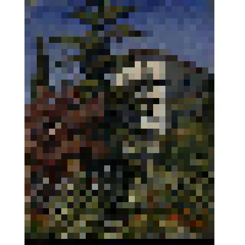 Ялта. Дом А.П. Чехова