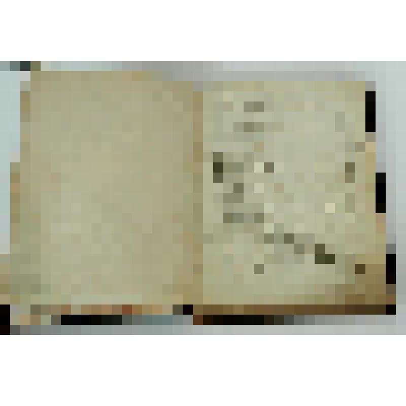 "Евгений Онегин"- роман в стихах