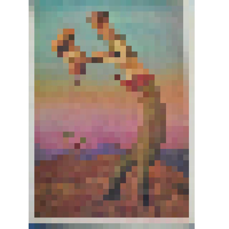 Набор открыток "Хуан медведь и великан" Рассказал В. Важдаев. 14. "Ха-х" Хо-хо! - гремел великан. -Сейчас ты увидишь, узнаешь, что я с тобой сделаю!"