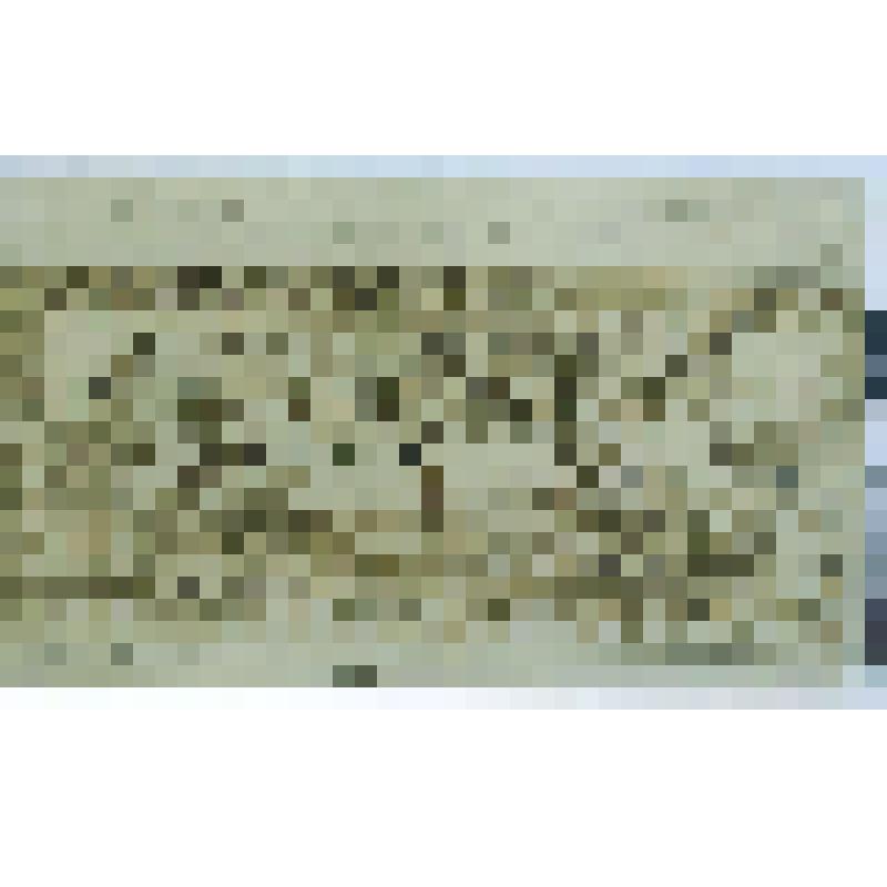 Рисунок с изображением охоты по скифским мотивам