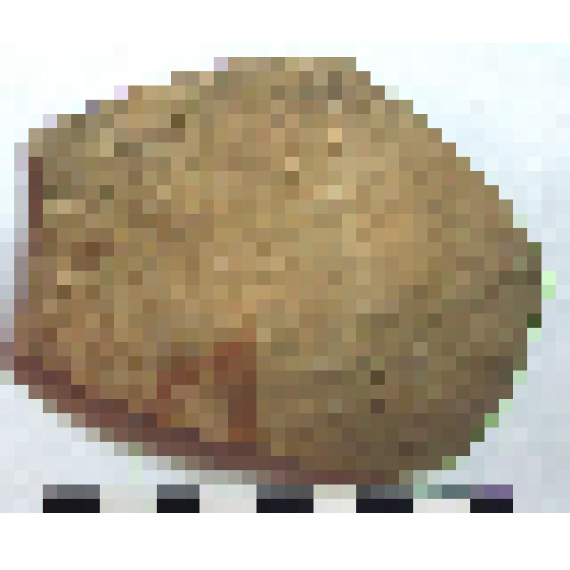 Фрагмент плеча амфоры типа D с дипинти