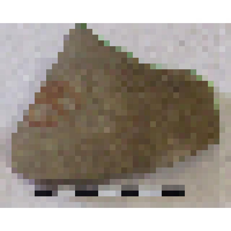 Фрагмент плеча амфоры типа D с дипинто