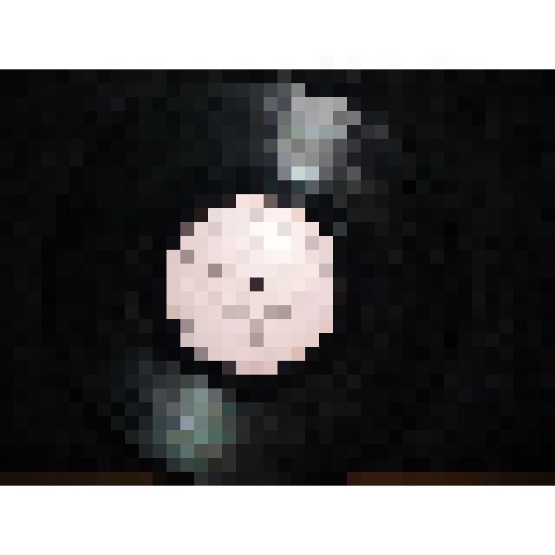 Пластинка виниловая, Апрелевский завод грампластинок, Лирические мелодии