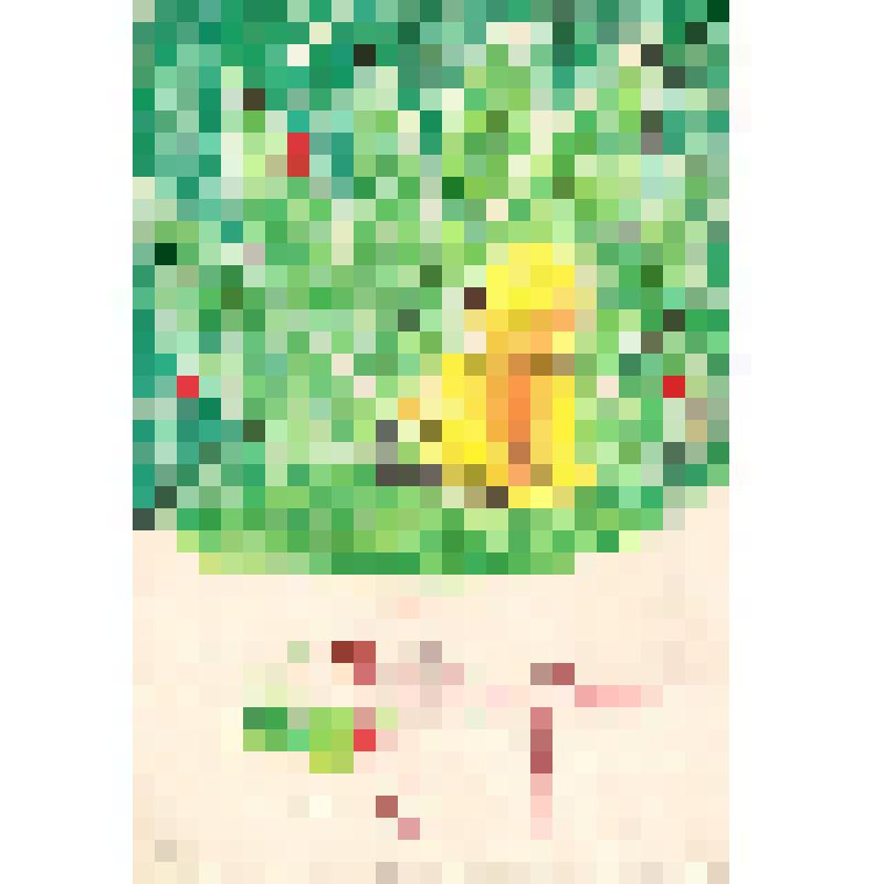 "С Днем Рождения!" Почтовая карточка