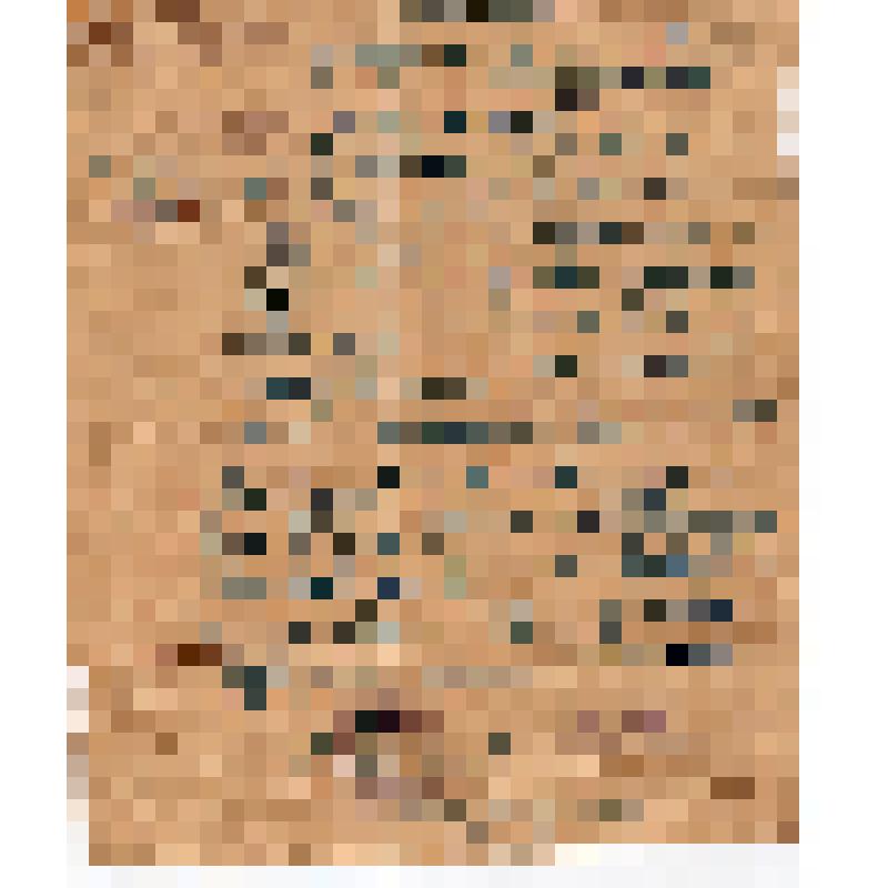 Справка Будаевой Н.Ф. о ее социальном положении