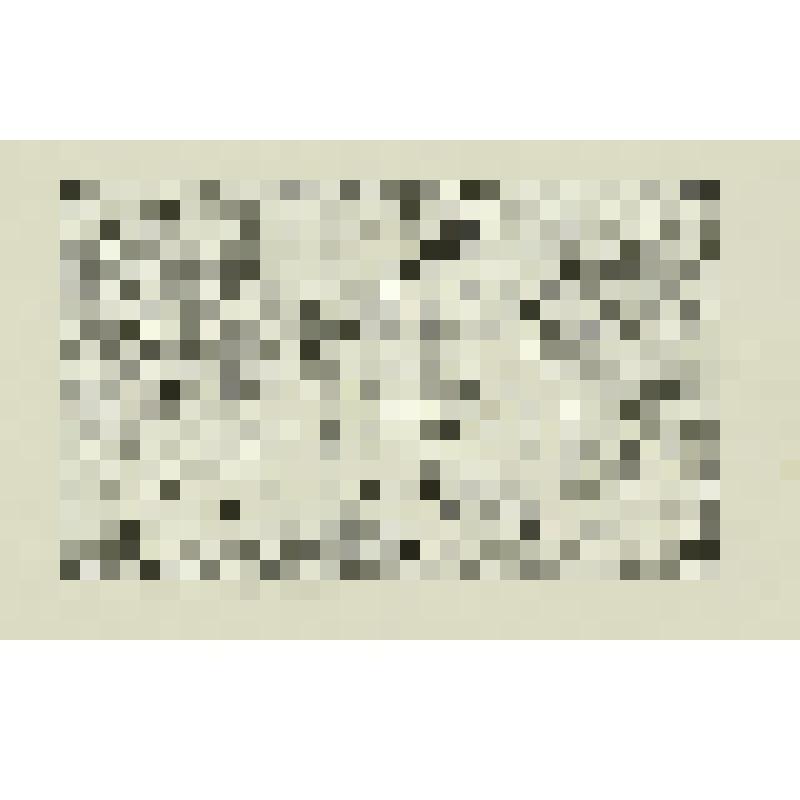 Титульный лист [1] альбома "Мистер Пенсил", гравюра