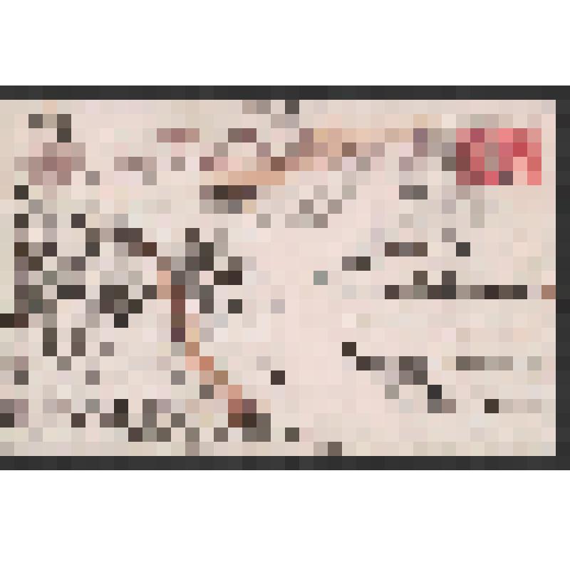 Открытка. Этюд девушки. 760