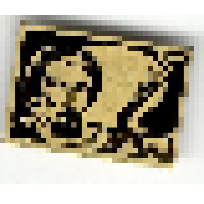 Значок. Васнецов В.М. на булавке. СССР