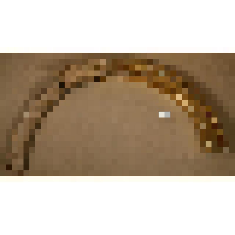 Арка (фрагмент) от портала иконостаса