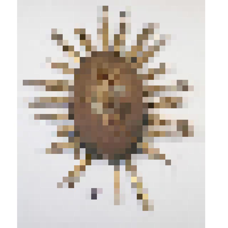 Икона " Воскресение Христово" в сиянии от иконостаса