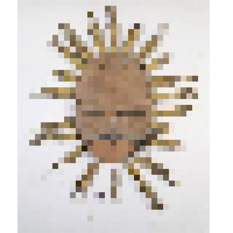 Икона " Воскресение Христово" в сиянии от иконостаса