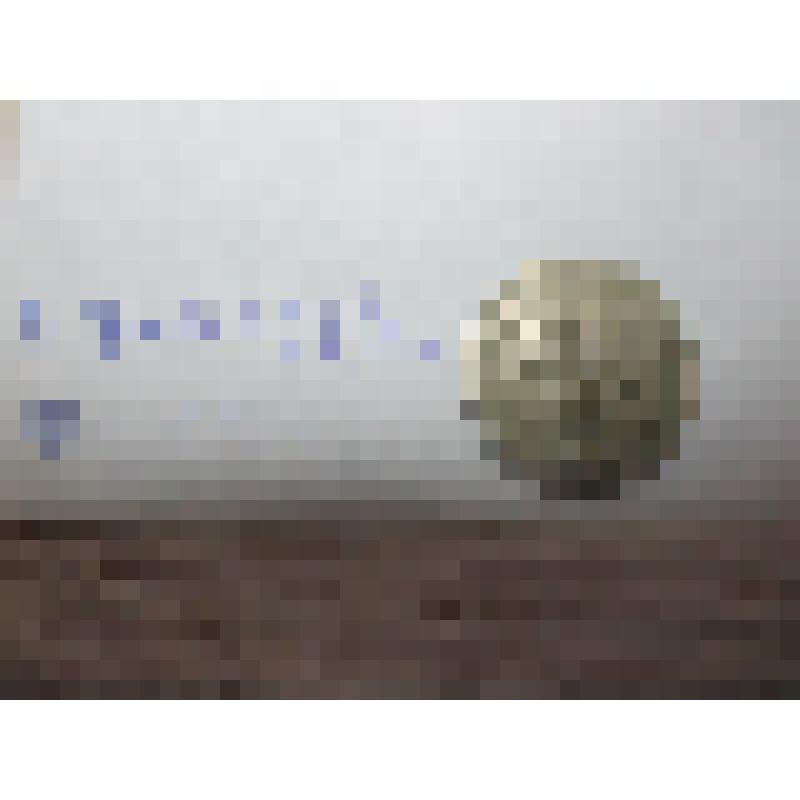 Монета достоинством в  10 (десять) грошей. Польша