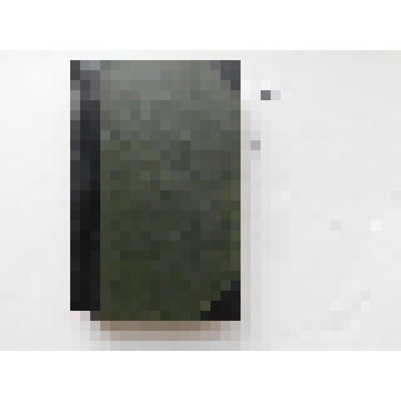 Книга большеформатная: Большая энциклопедия под редакцией С.Н. Южакова, том двенадцатый. / СПб., тип. тов-ва «Просвещение», 1903. Имеются иллюстрации вне текста, на ненумерованных страницах