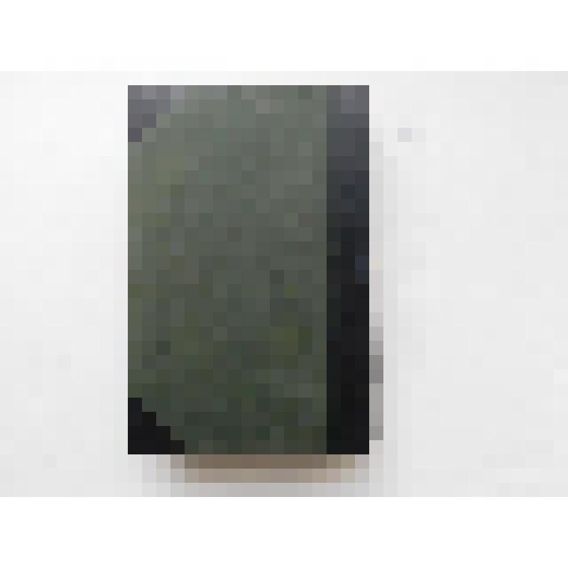 Книга большеформатная: Большая энциклопедия под редакцией С.Н. Южакова, том двенадцатый. / СПб., тип. тов-ва «Просвещение», 1903. Имеются иллюстрации вне текста, на ненумерованных страницах