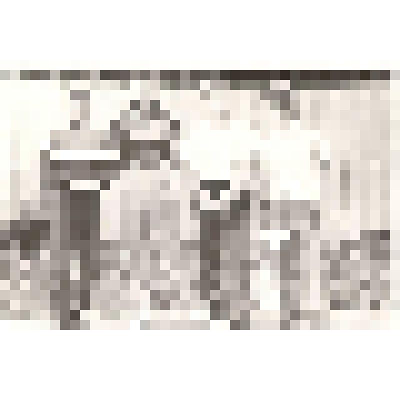 Фотография 
Невежин Василий Иванович с выпускниками
ДЮСШ г. Балашова