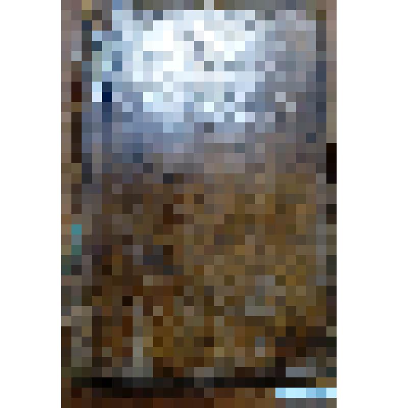 Книга. "Полное собрание ученых путешествий по России, издаваемое Императорской Академией Наук, по предложению ее президента." С примечаниями, объяснениями и дополнениями. Том второй. Описание Камчатки