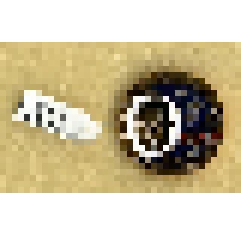 Значок памятный, посвященный 50-летию со дня рождения летчика-космонавта СССР В.М. Комарова