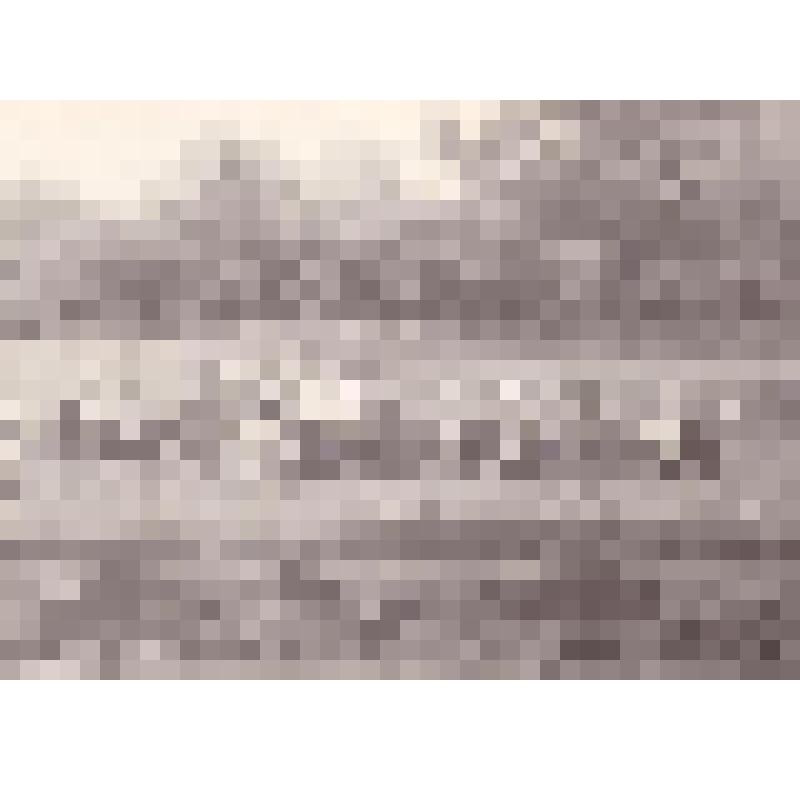 Альбом "Эстафета производственной бригады Верхопенской средней школы". Фото 6